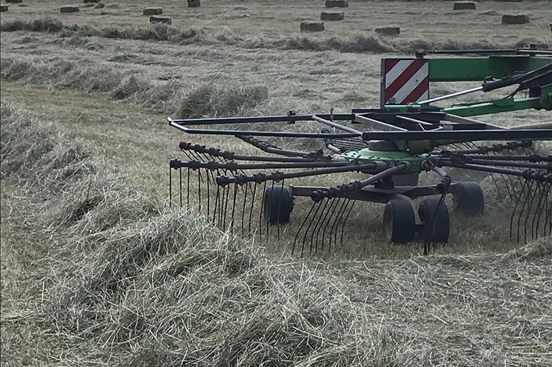 pferdeheu kaufen niederrhein