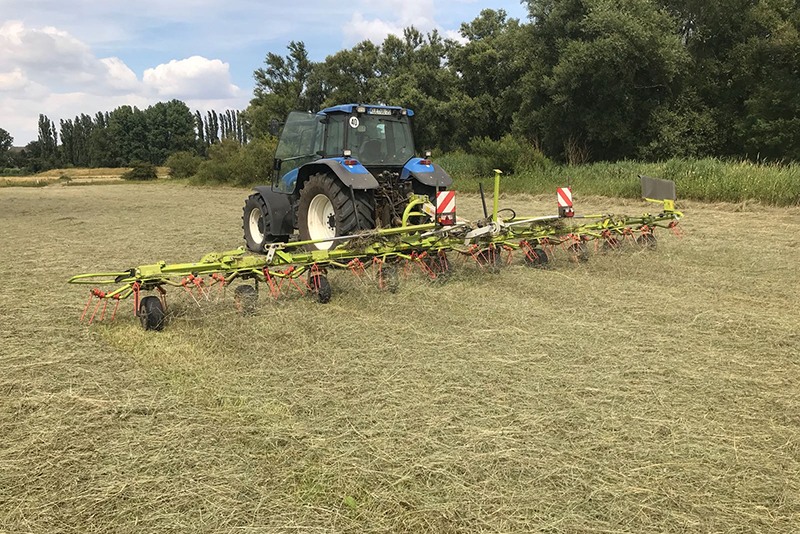 grasschnitt heuernte niederrhein