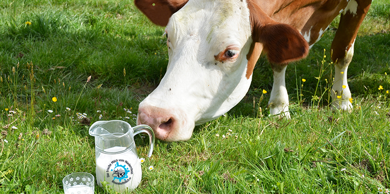 frische milch qualität